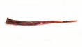 /album/hovezi-pouze-na-objednani/mg-3579-jpg/